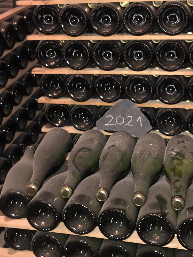 2021 was a good year for us, bottles of that vintage in the Alta Alella cellar