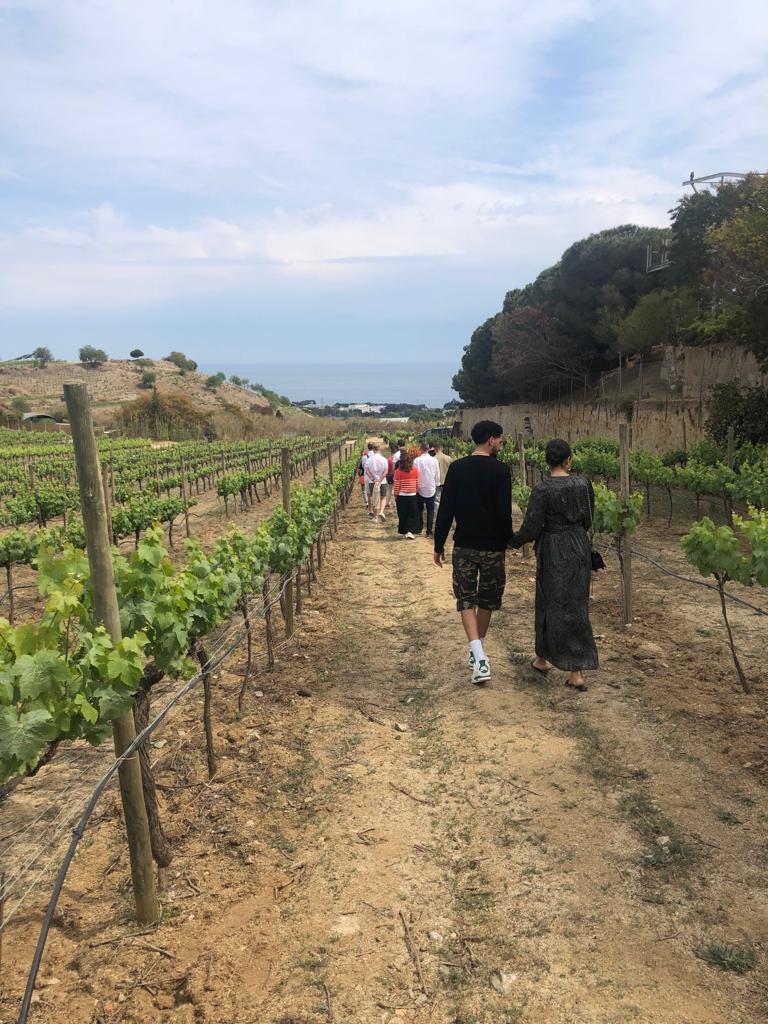 the rest of the tour participants at the Alta Alella wine tour