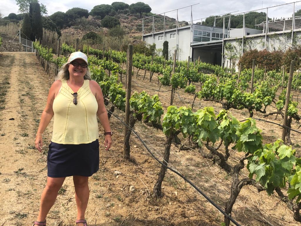 the Alta Alella vineyard