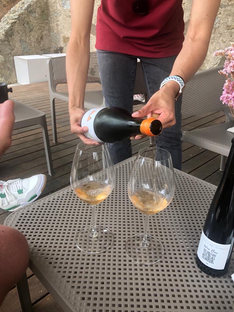 tasting the "orange" wine at Alta Alella